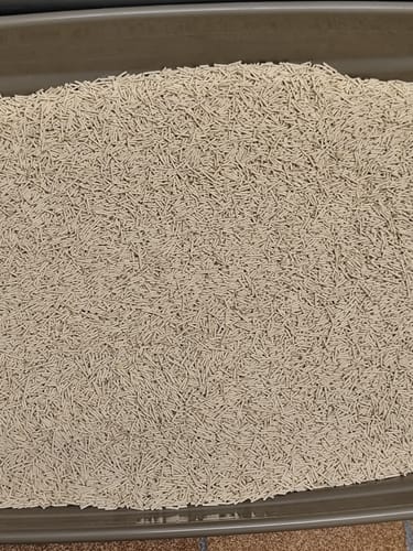 Customer photo review of Naturreines Katzenstreu (Angebot)