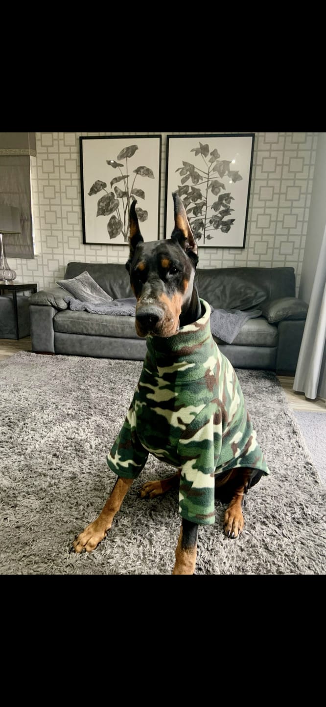 Customer photo review of Camo Anti Pill Polar Fleece Fabric