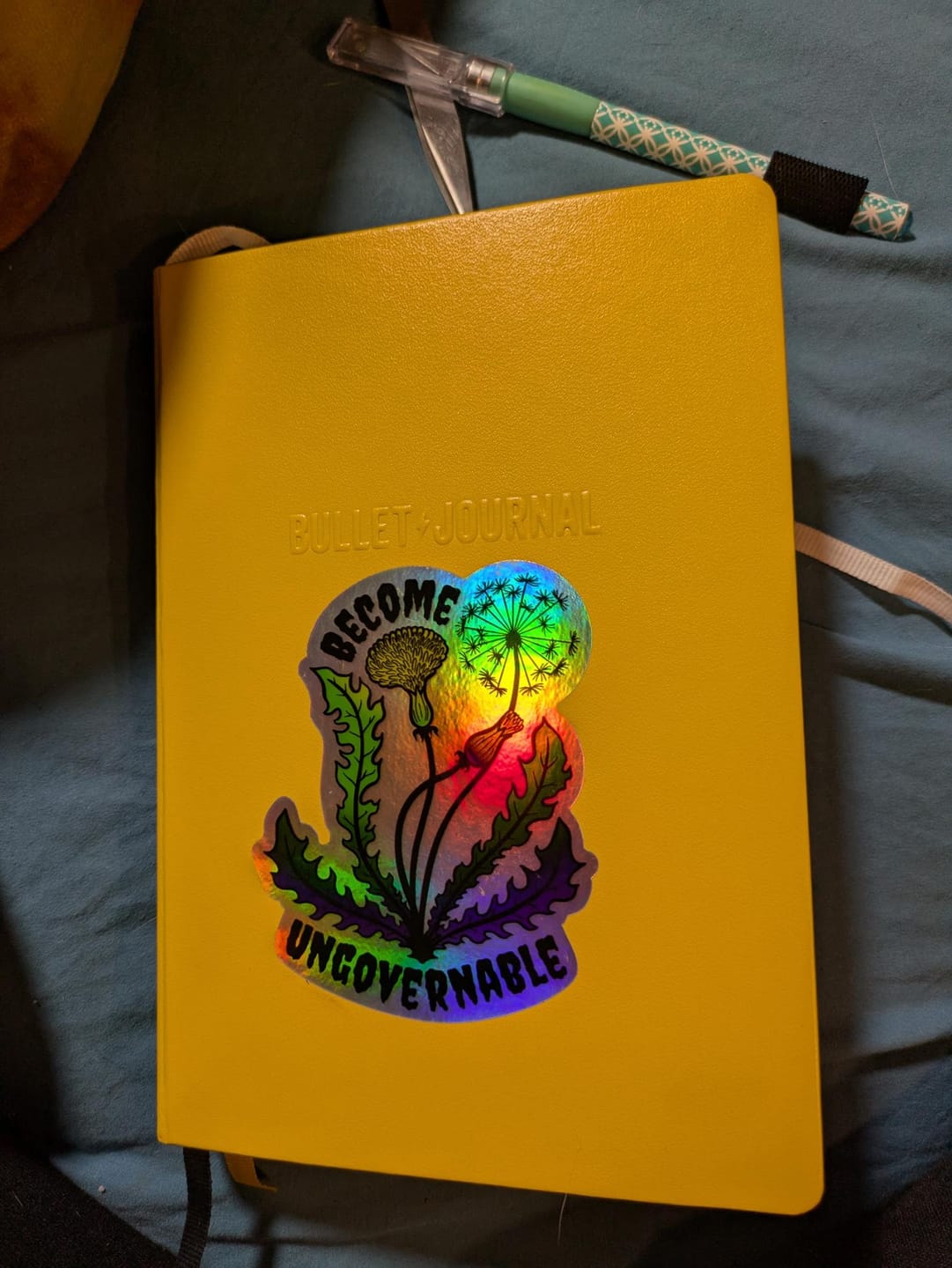 Customer photo review of The Notebook