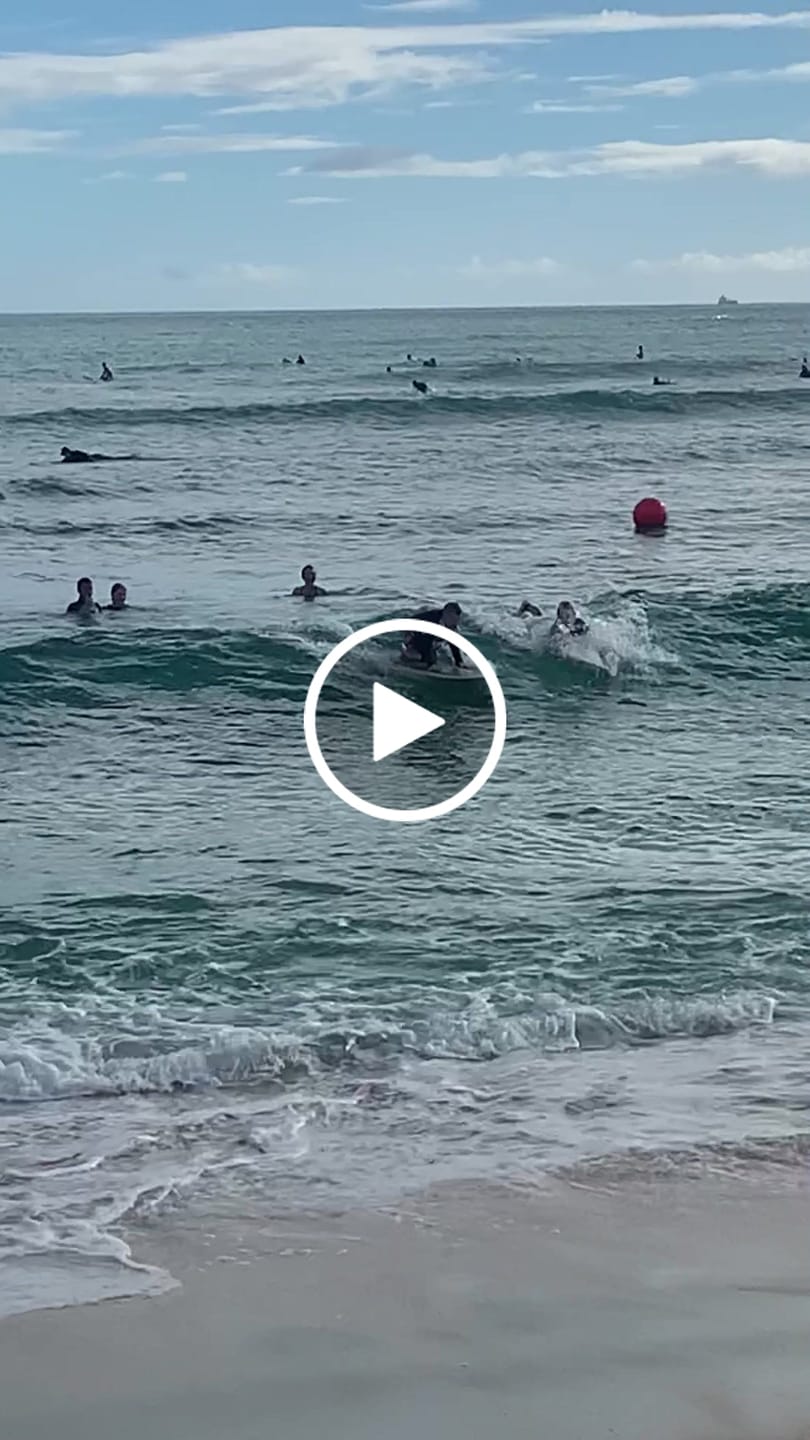 Customer video review of Sharkbanz 2 – Wearable Shark Deterrent