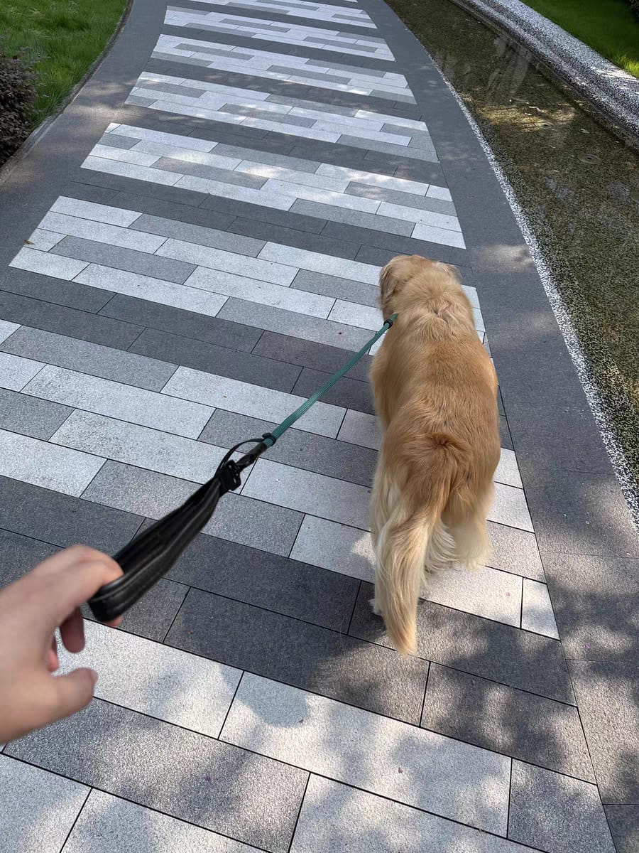 Customer photo review of BOBO One-piece Leash With Leather Handle