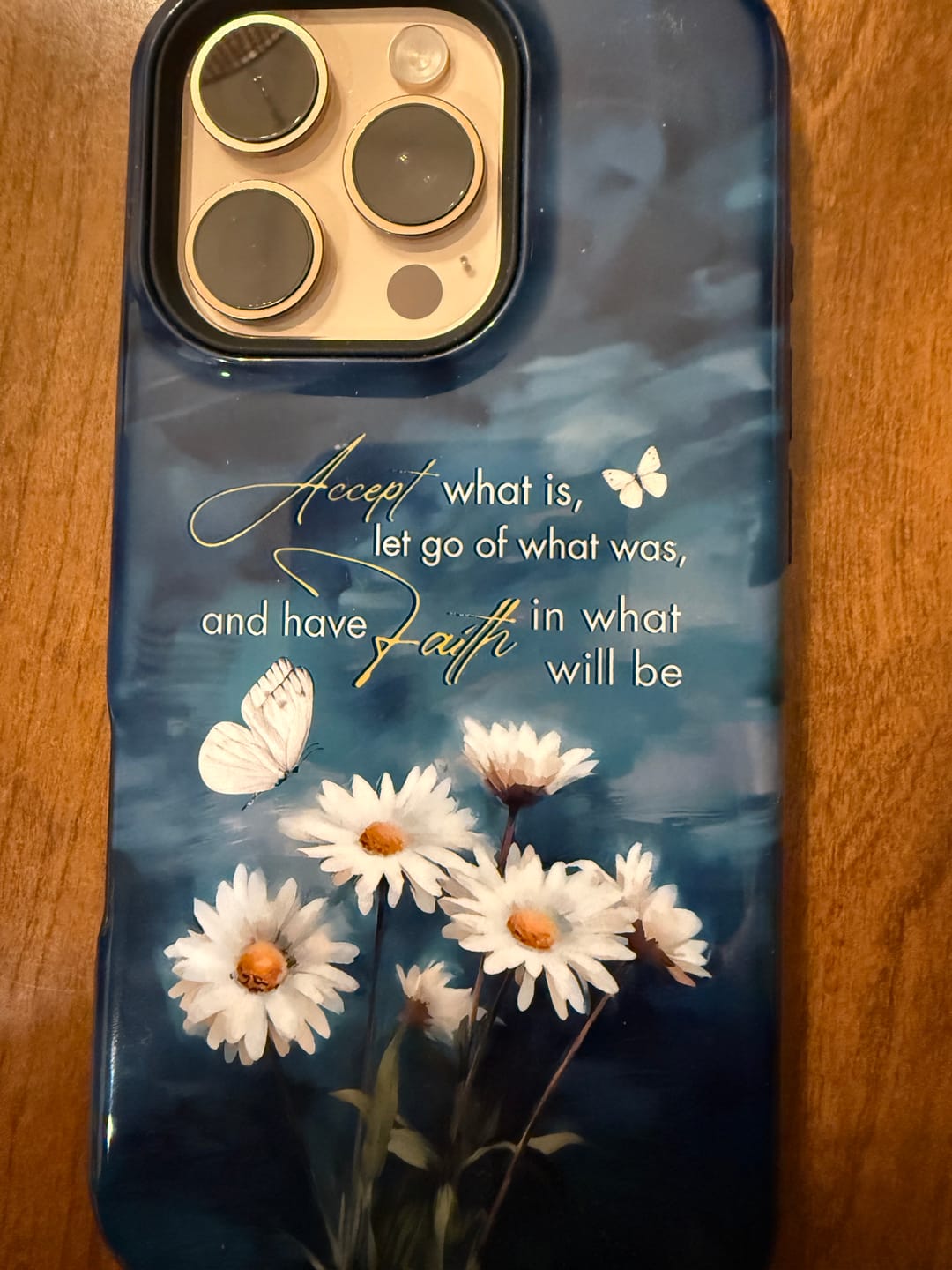 Customer photo review of Accept What is Let Go of What Was, Daisies and Butterflies, Phone Case