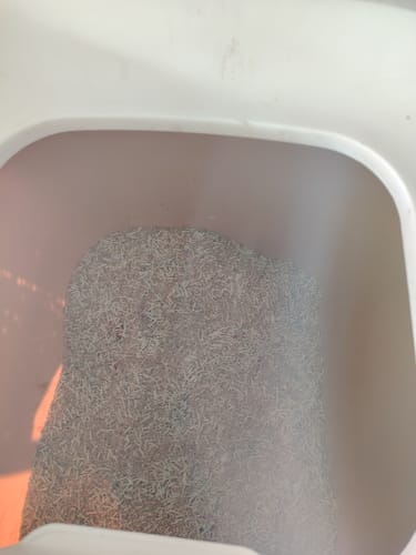 Customer photo review of [PACK] Litière naturelle et écologique Mousse Minou
