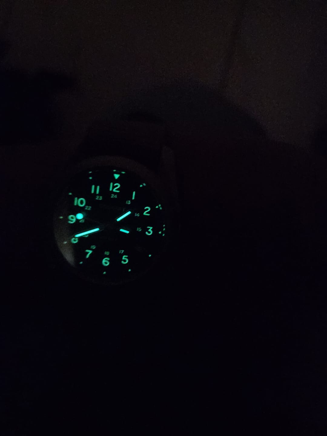 Customer photo review of VOYAGER - 100M Waterproof Titanium Automatic Field Watch | Black/ArmyGreen