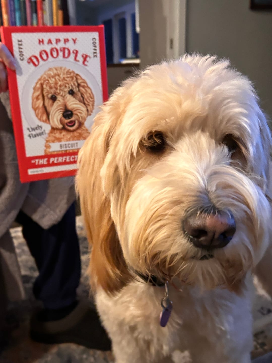 Customer photo review of Goldendoodle Canvas Personalized with YOUR Dog's Name!