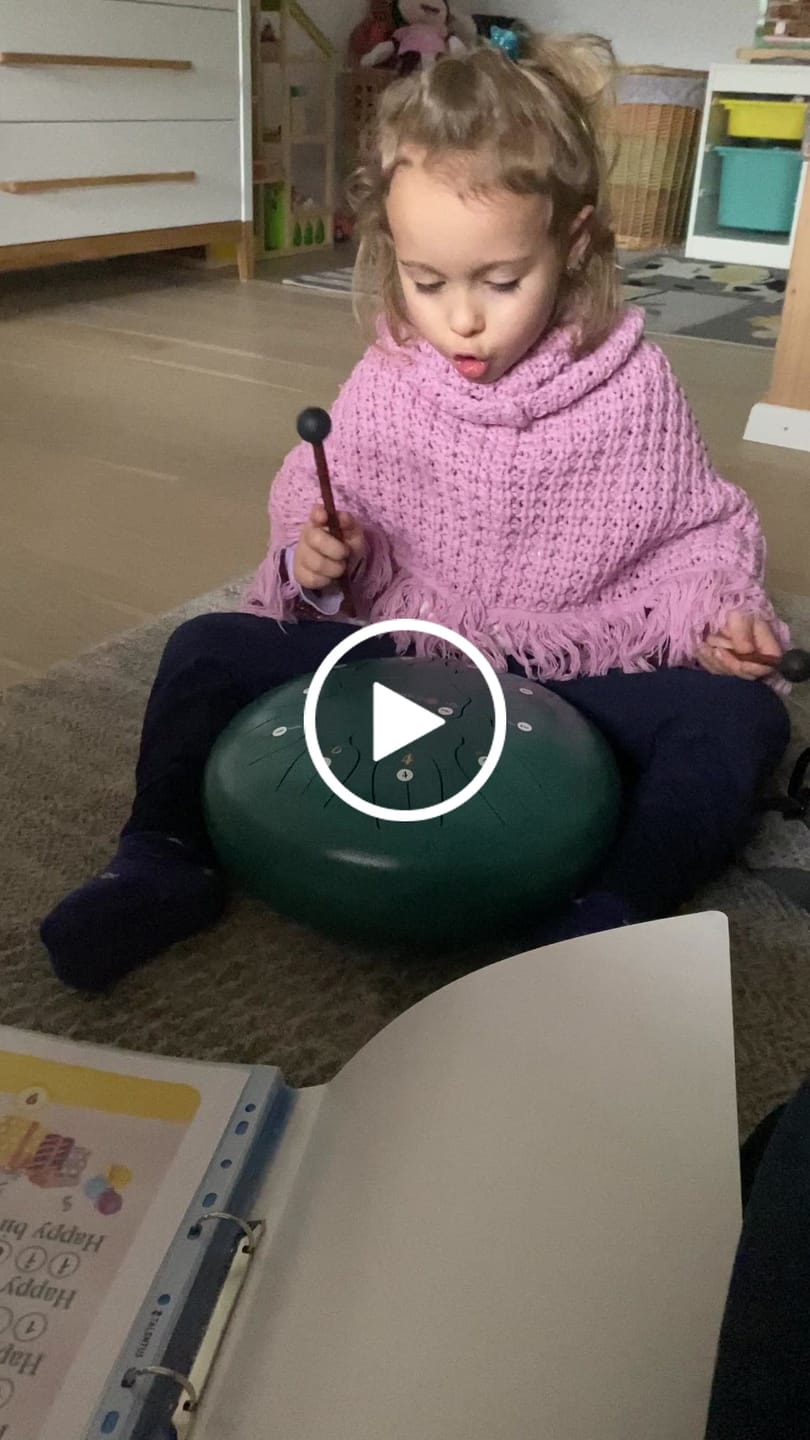 Customer video review of (NEU) Sonodrum Zungentrommel - "Standard" - Handgefertigt - 30cm - 11 Zungen - C-Dur