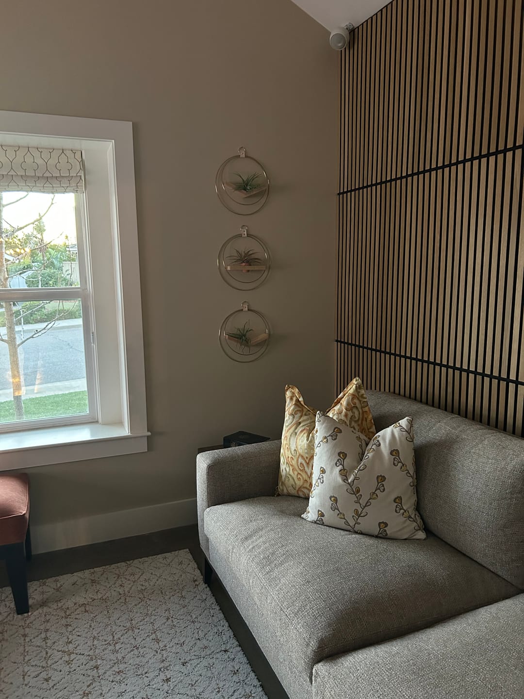 Customer photo review of Air Plant V-Hanger & Shelf Mixed Trio