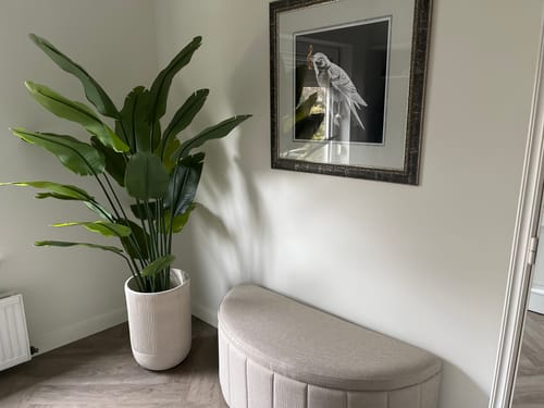 Customer photo review of Strelitzia Kunstplant 180cm