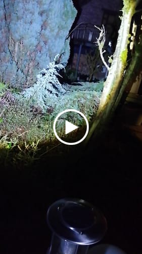 Customer video review of HyperXLight PRO™- ultrahelle taktische Taschenlampe