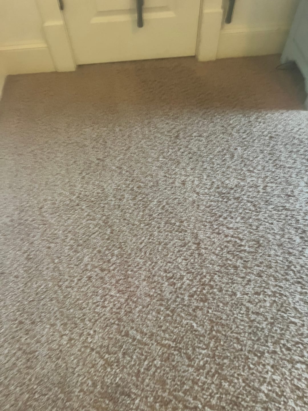 Customer photo review of • Releasit Encap-Punch (4 Gallon) Carpet Cleaning Encapsulation Pre-Spray [Encap]