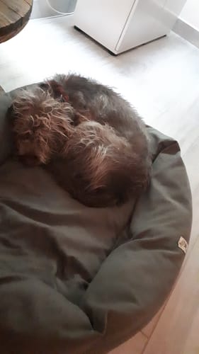 Customer photo review of Divanetto Mattias Antracite (Soft Touch)