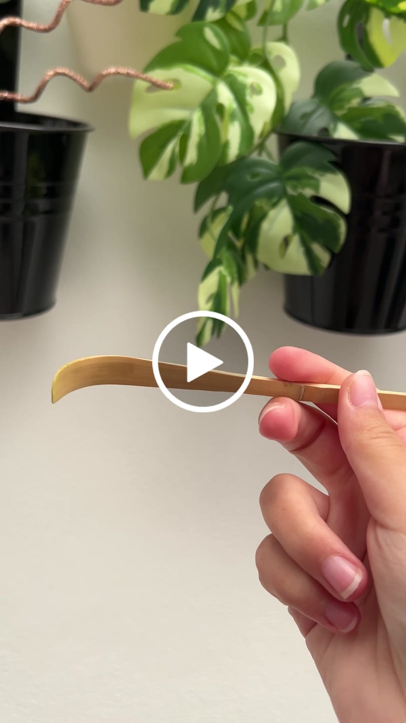Customer video review of Chashaku Palito Japonés 1g