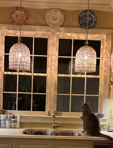 Customer photo review of French Antique Brass Crystal Cage Chandelier