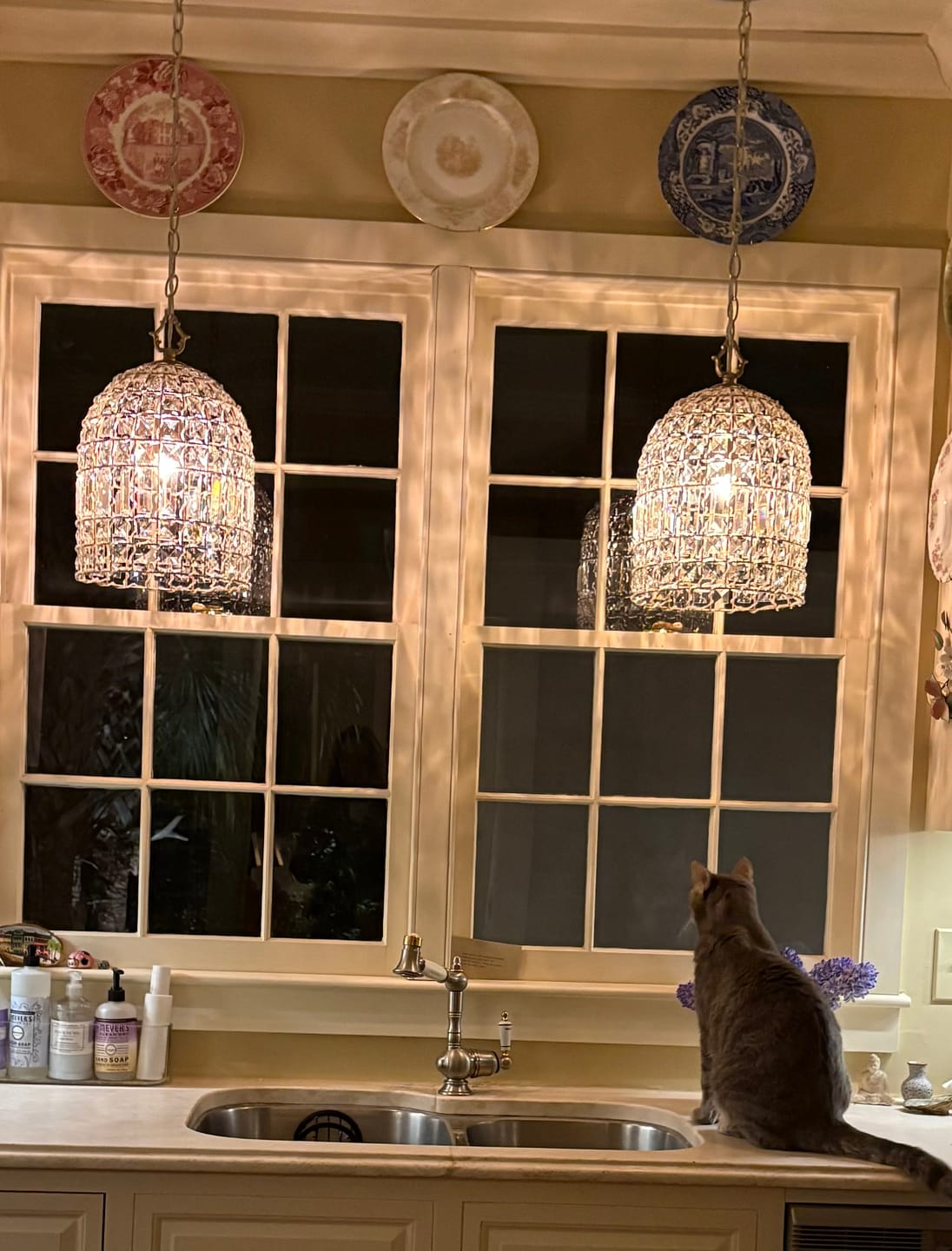 Customer photo review of French Antique Brass Crystal Cage Chandelier