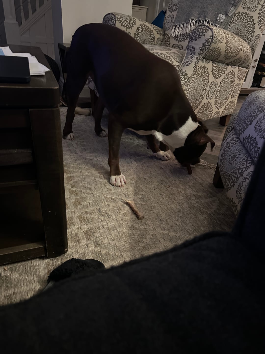 Customer photo review of 12 Inch Beef Jerky Stick