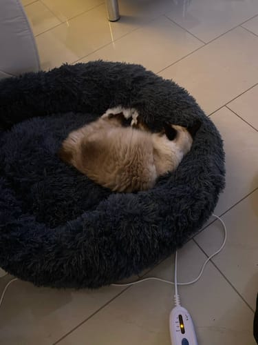 Customer photo review of Puppery Hundebett Wolke 7 - Das Original