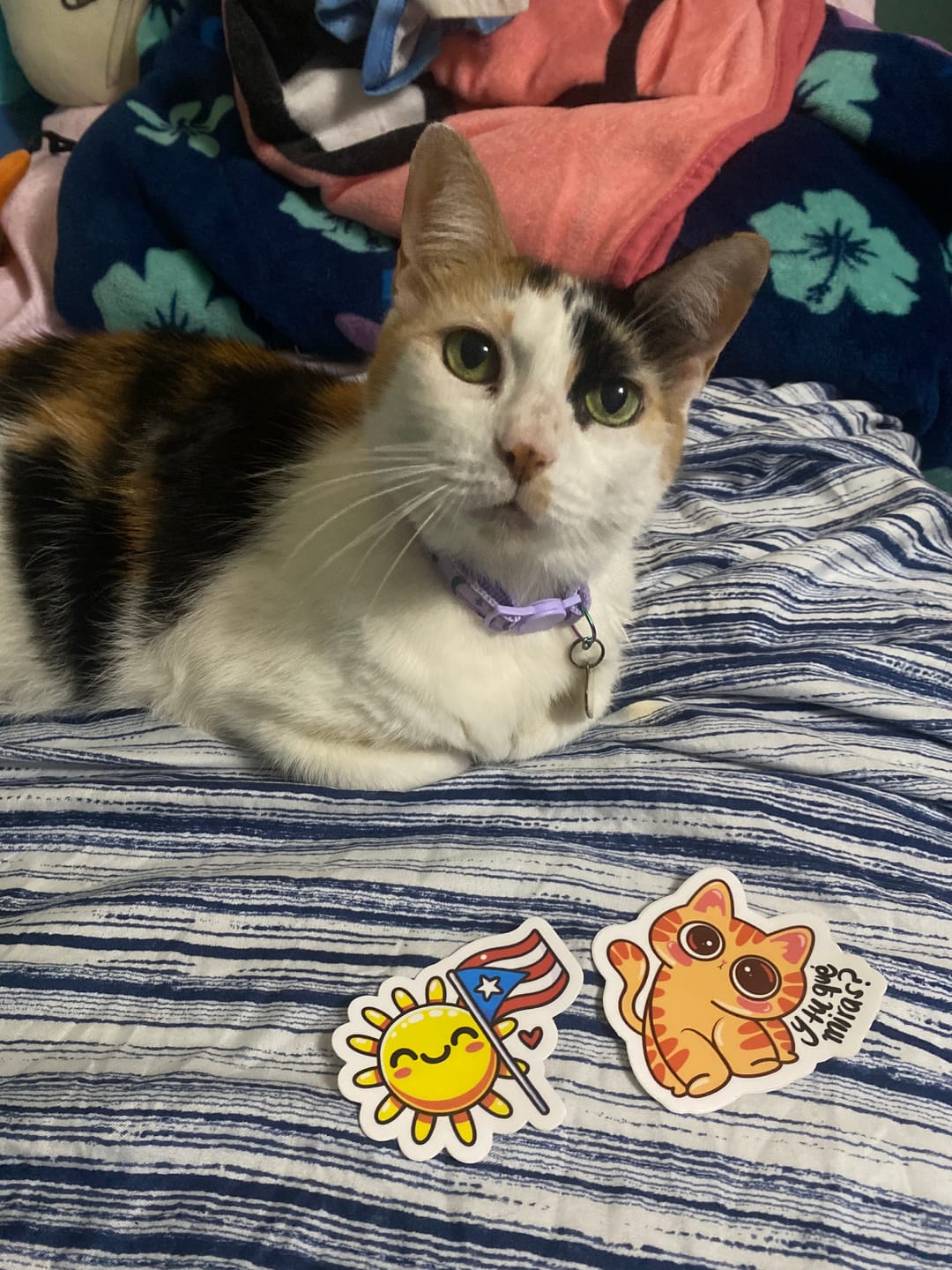 Customer photo review of Sol de Puerto Rico (Sticker Laminado)