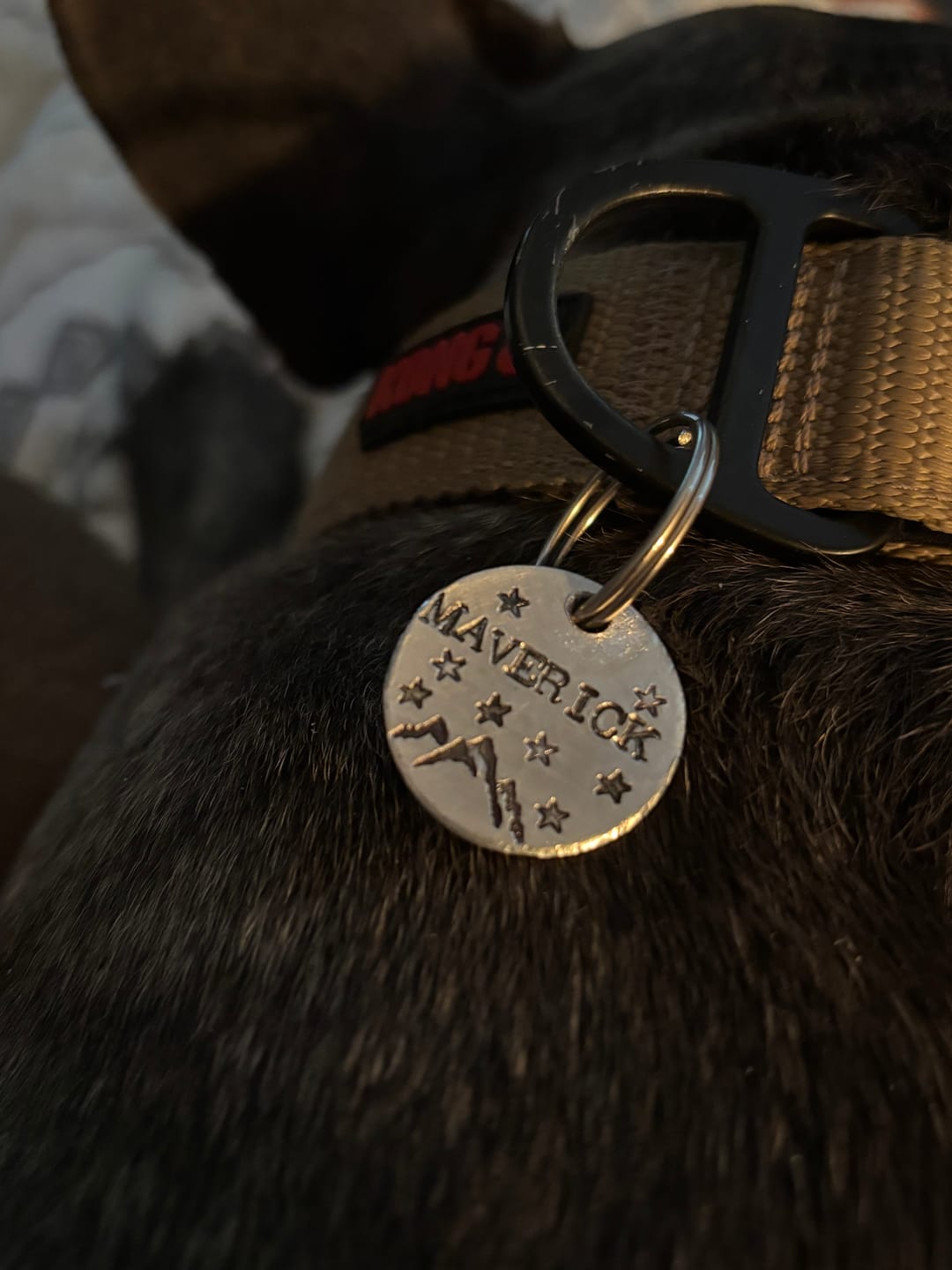 Customer photo review of Hand Stamped Pet ID Tag