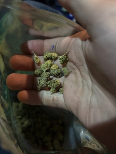 Customer photo review of Bulk THCA Smalls