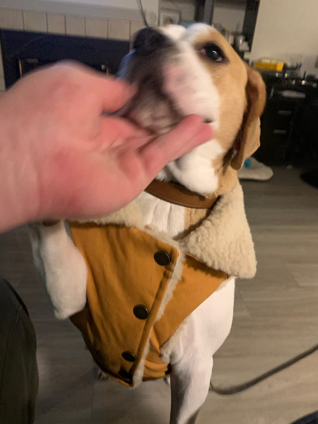 Customer photo review of Workdog Insulated Utility Jacket Jackets