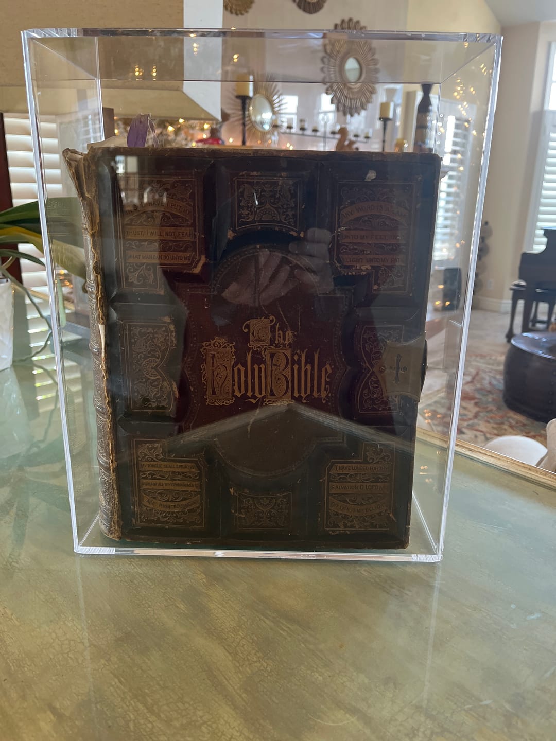 Customer photo review of Acrylic Book Display Cases