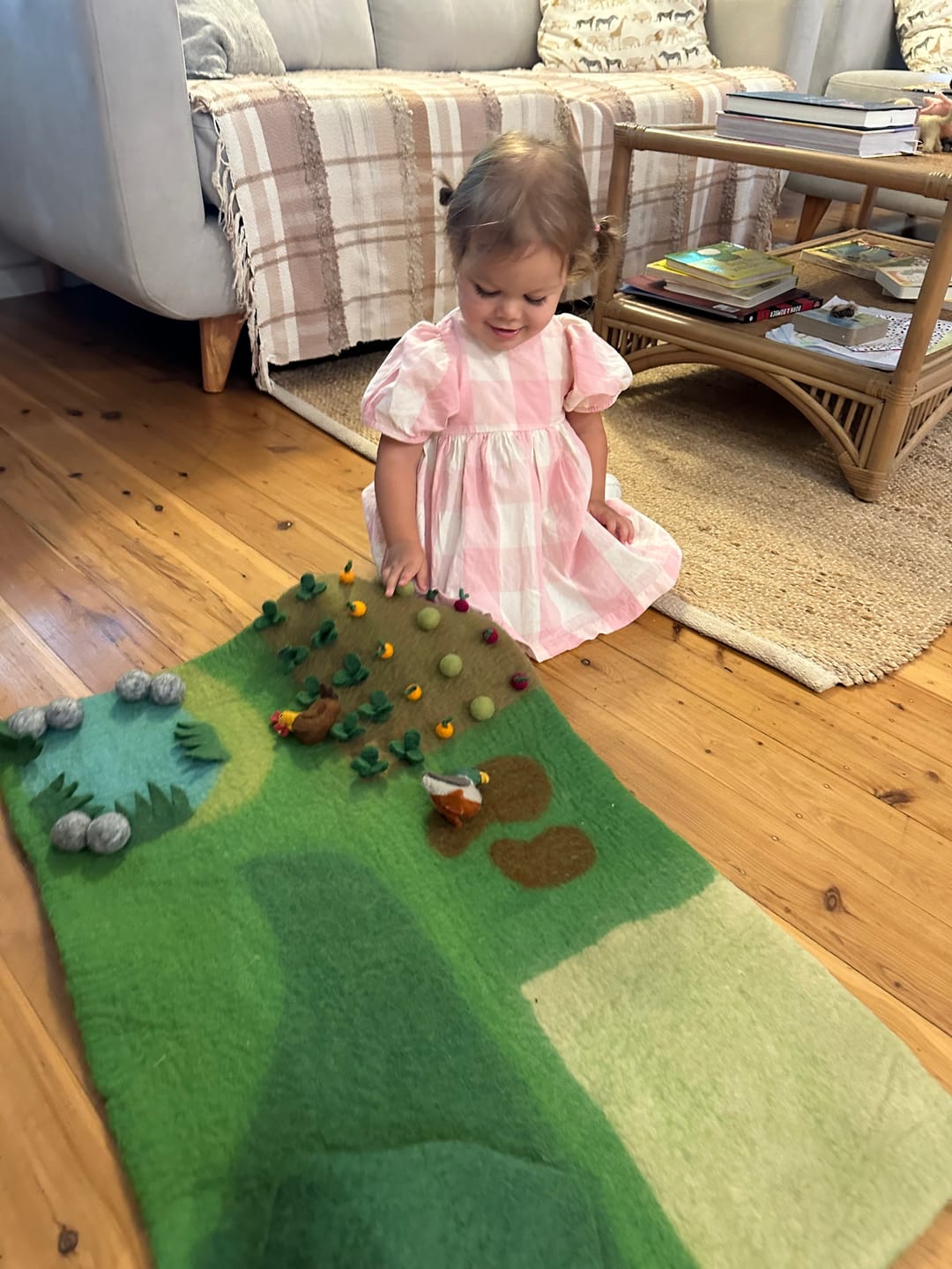 Customer photo review of Felt Farm Animals Toys Set - Set of 10 Toys