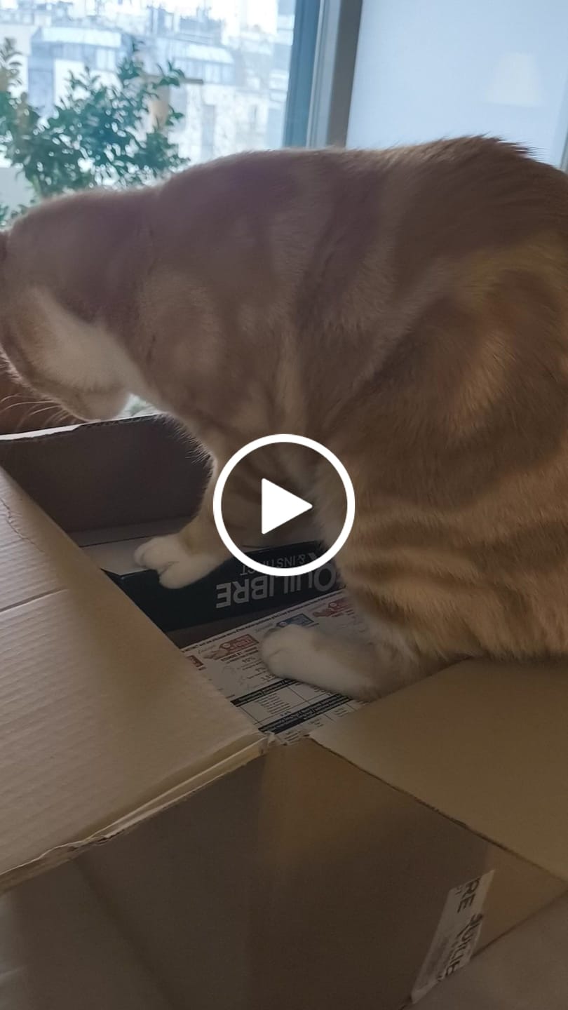 Customer video review of Croquettes riches en poissons blancs frais (chat stérilisé)
