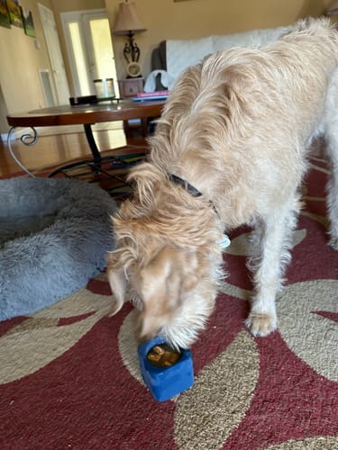 Customer photo review of Freezbox - Super Tough Treat Toy