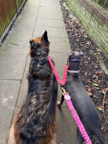 undefined review of Handsfree Lead - Walkies Ready® Raspberry Pink image 1 out of 1