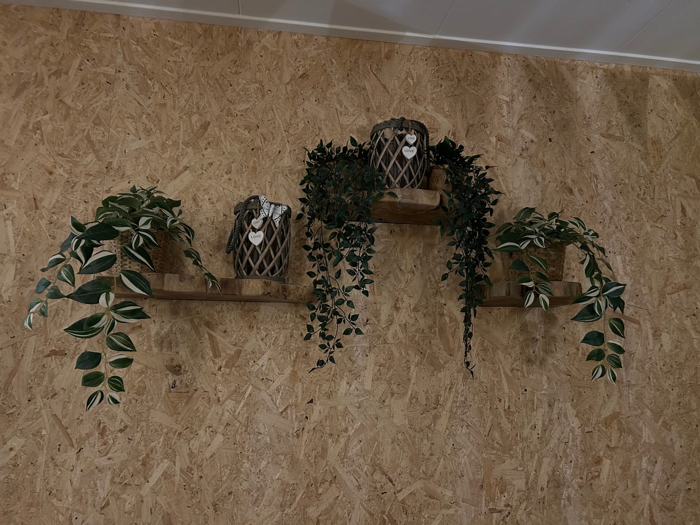 Customer photo review of Wandplank set van 3 Boomstam Nature