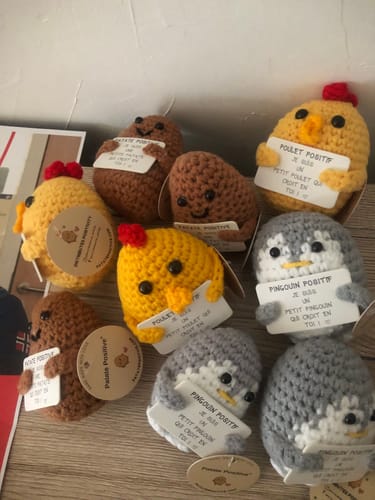 Customer photo review of POULET POSITIF