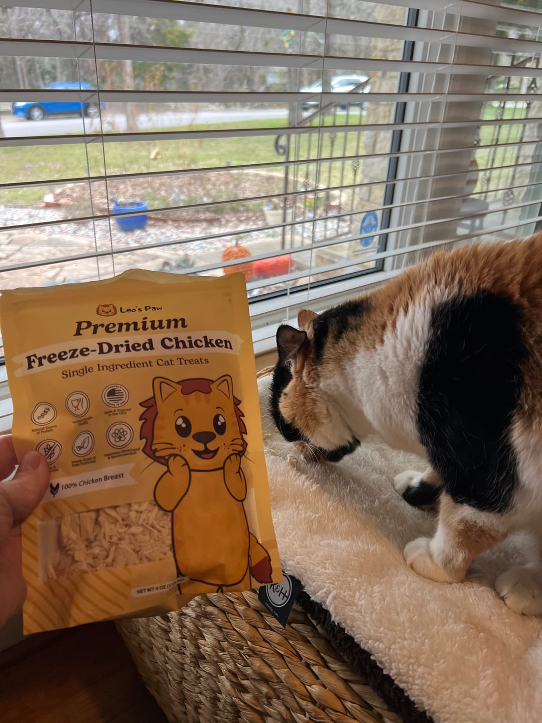 Customer photo review of Freeze Dried Chicken Treats