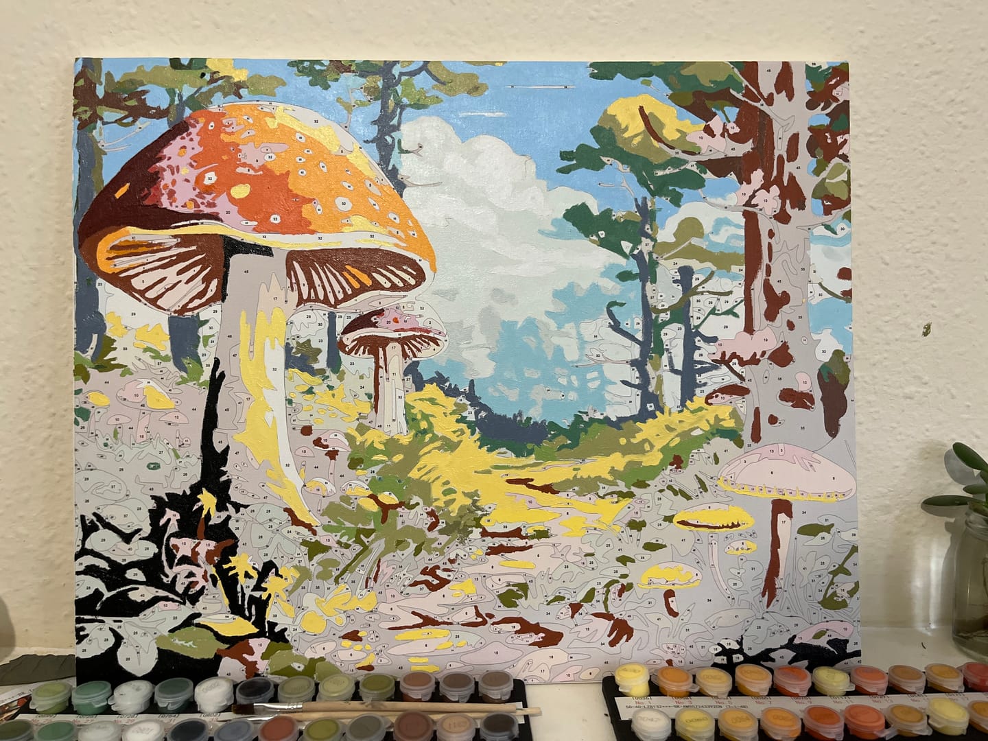 Customer photo review of Enchanted Forest Trail