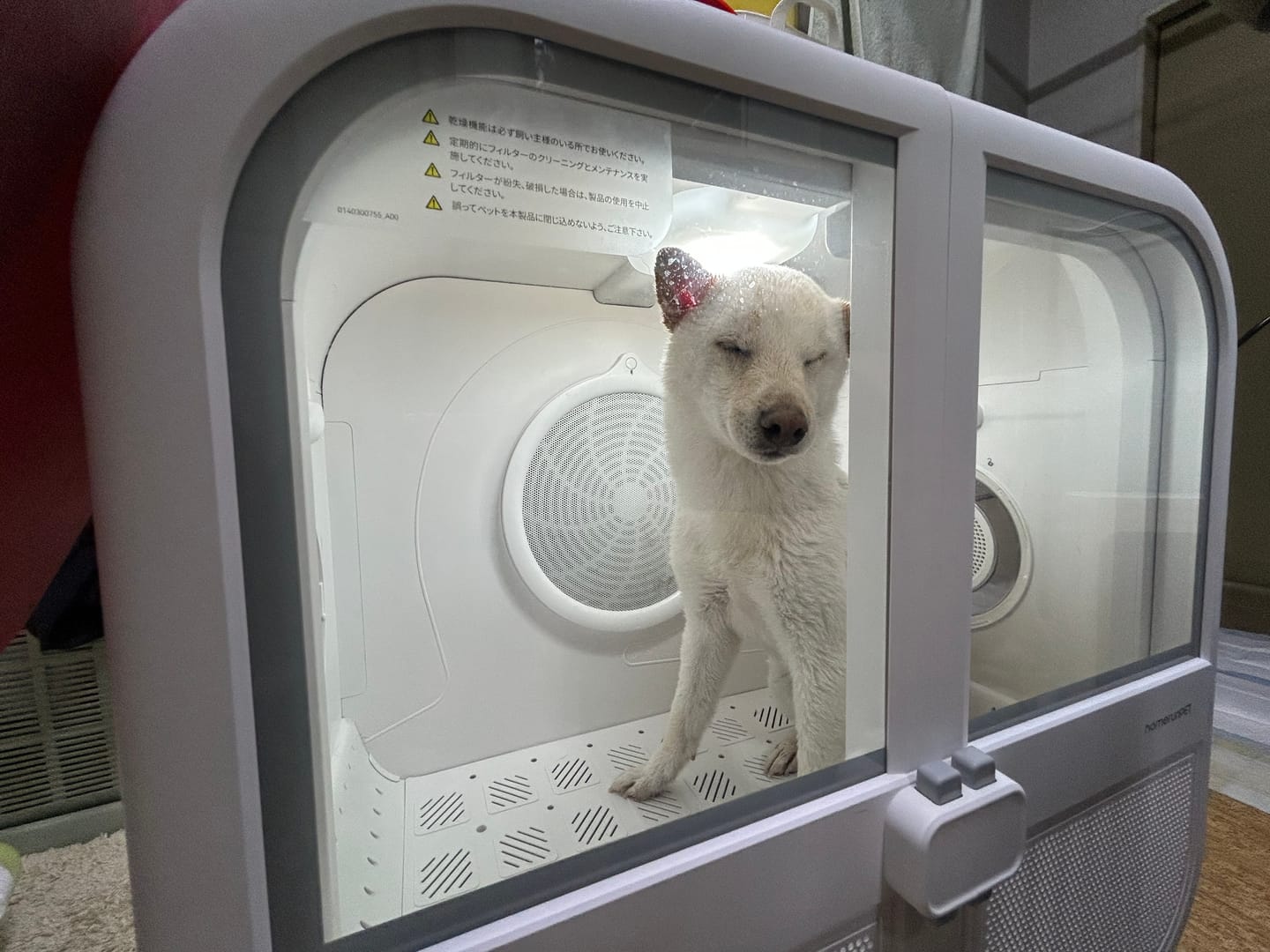 Customer photo review of homerunPET 「Drybo Ultra」ペットドライヤーハウス（4月下旬発送）
