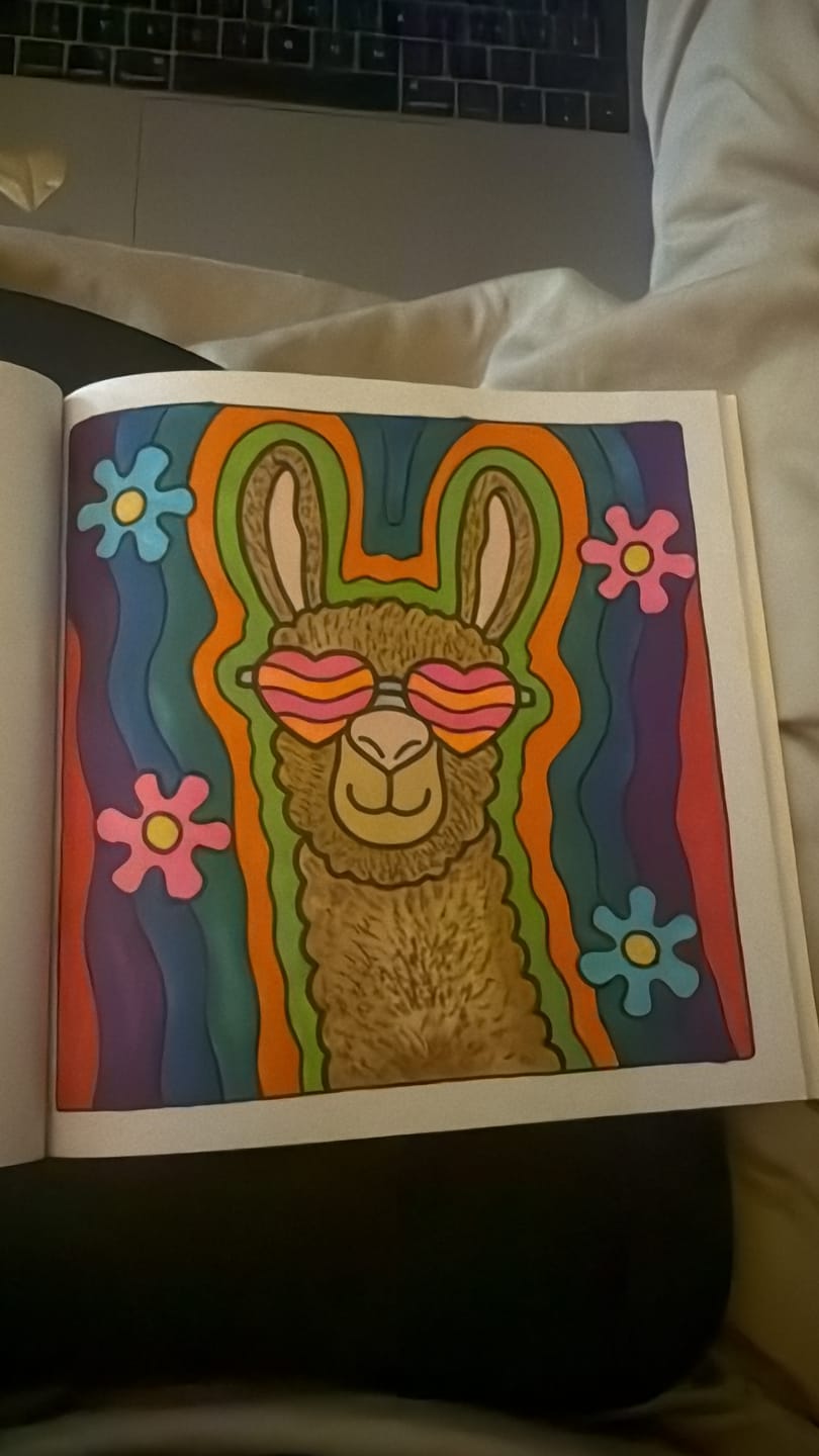 Customer photo review of Ohuhu Oahu 200 Colors Dual Tips Alcohol Art Markers, Fine & Chisel