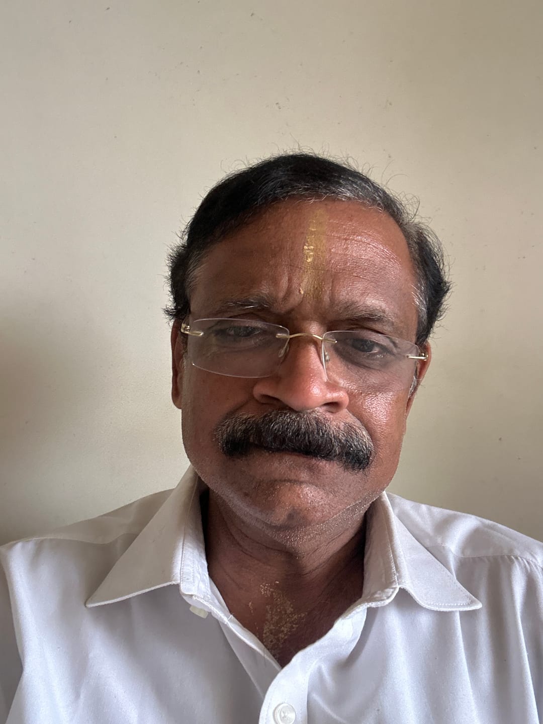 Customer photo review of Indian Flag Lapel Pin