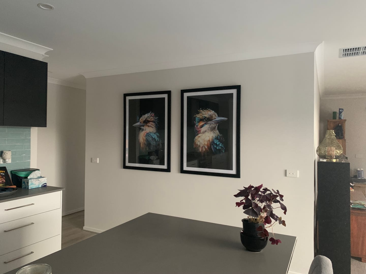 Customer photo review of SET OF TWO - KOOKABURRA IN WATERCOLOUR ART PRINTS