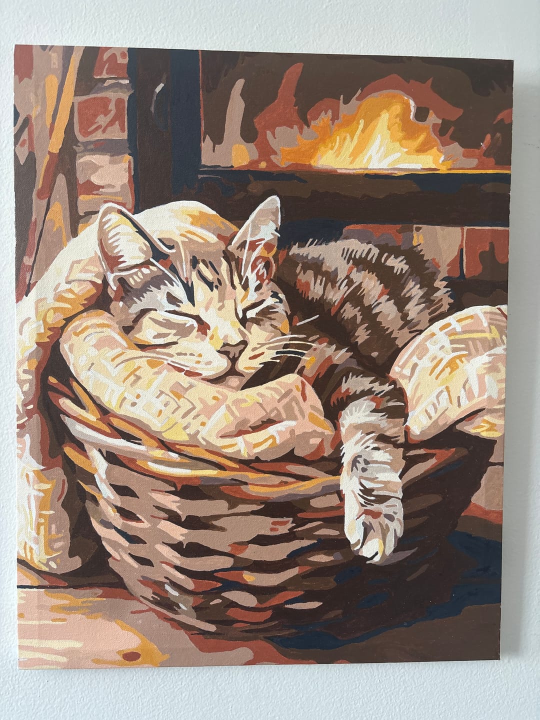 Customer photo review of Bascat