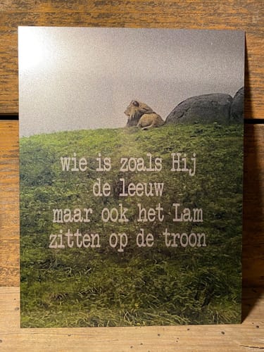 Customer photo review of Aluminium plaat 15x20cm Zilverglans voor sublimatie