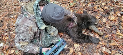 Customer photo review of Beast Broadheads - 2 Pack