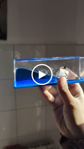 Customer video review of 3D Ship Fluid Drift Bottle - Going Merry