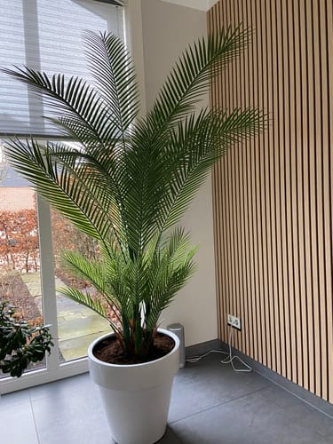 Customer photo review of Kunstpalm 180cm