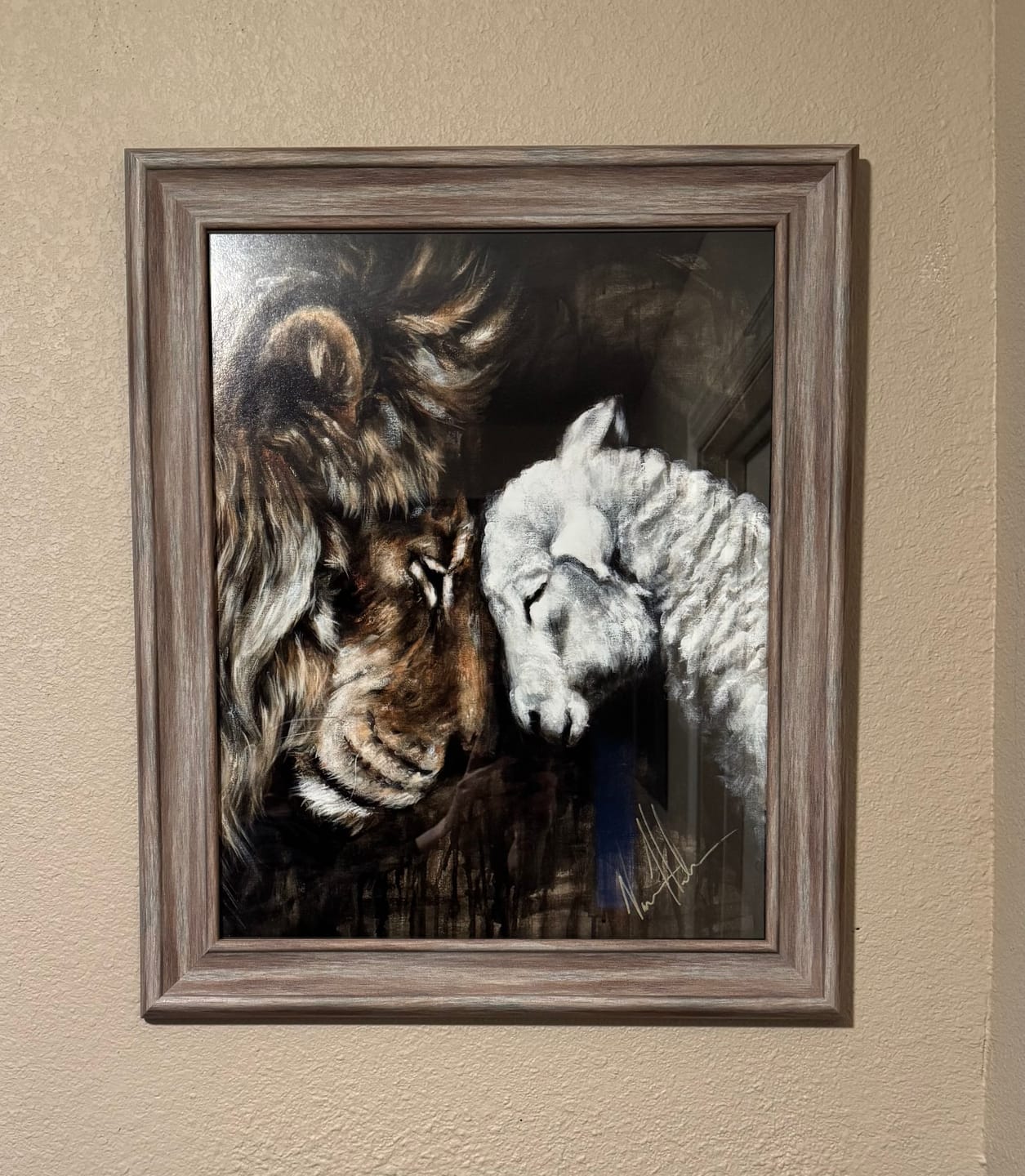 Customer photo review of Compassion of a King