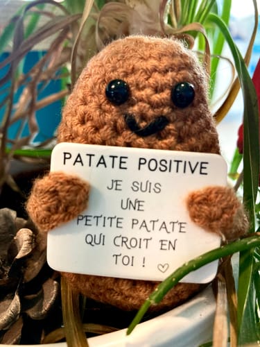 Customer photo review of PATATE POSITIVE