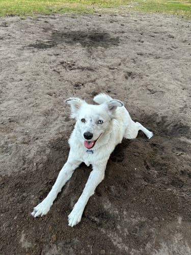 Customer photo review of Lucky Belly