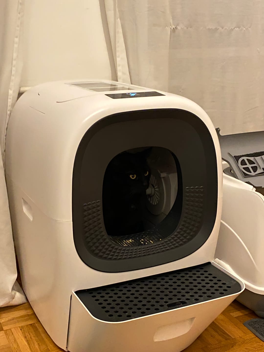 Customer photo review of Auto Self-Refill Cat Litter Box Pro