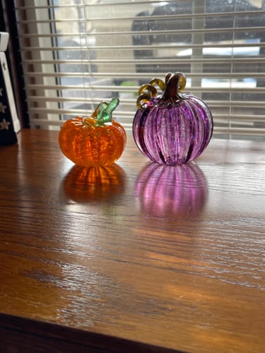 Customer photo review of February Birthstone Pumpkin