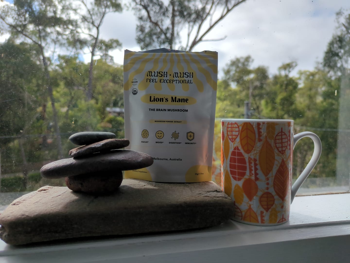 Customer photo review of Organic Lion's Mane - The Brain Mushroom