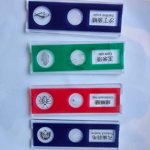 Customer photo review of #1 Kids Exploring Toy - Kids Miniscope