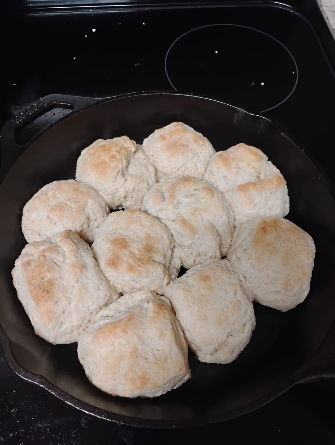 Customer photo review of Cousin T's Biscuit Mix